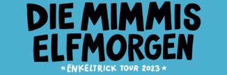 Elfmorgen - Enkeltrick Tour 2023 - Titelbild