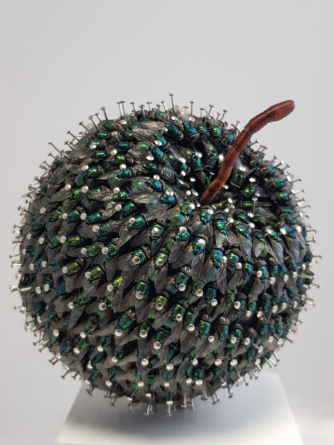 Malum von Nils Franke