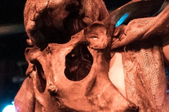 burning-cross-berlin-blackland-2017-12-02-dsc02185