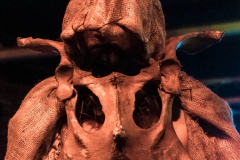 burning-cross-berlin-blackland-2017-12-02-dsc02186