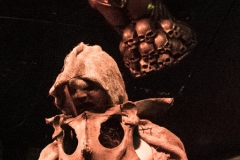 burning-cross-berlin-blackland-2017-12-02-dsc02274