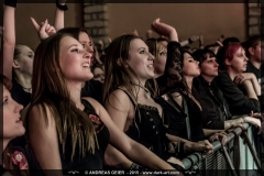 _dsc6737-subway-to-sally-ehn-2015-dresden-fbda