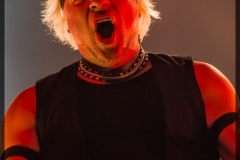 _dsc9198-subway-to-sally-ehn-2015-potsdam-fbda