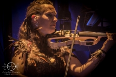 DSC00242 - Subway to Sally - NEON -  Annaberg-Buchholz - Festhalle - 07.04.2017