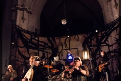 _DSC1122 - Subway to Sally - Neon 2016 - Rostock