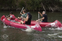 eric-fish-fft2018-kirchscheidungen-dsc00360