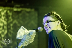 An idea - Berlin - Hangar 49 - 04.03.2017 - DSC08877
