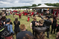 Cultus Ferox - MPS - Hoppegarten (Berlin) 17.06.2017 - DSC07349