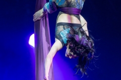 Excalibur - Berlin - Mercedes Benz Arena - 13.12.2016 - DSC00052
