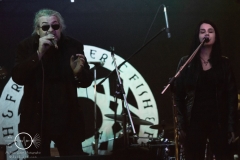 Fish Freunde Treffen 12 - Kirchscheidungen - 18.+19.08.2017 - DSC07480