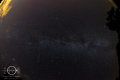 Fish Freunde Treffen 12 - Kirchscheidungen - 18.+19.08.2017 - DSC07762