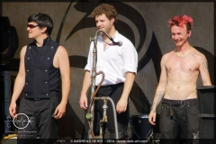 107 - Saltatio Mortis - Bueckeburg MPS - 12.07.2014