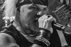 Subway to Sally - Dresden - Alter Schlachthof - Eisheilige Nacht - 17.12.2016 - DSC02961-2