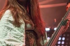 Vroudenspil - Dresden - Alter Schlachthof - Eisheilige Nacht - 17.12.2016 - DSC00588