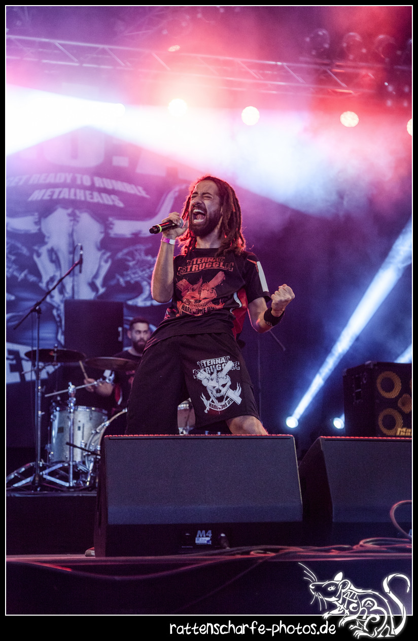 2017-08-03_wacken-062