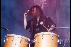 2017-08-03_wacken-151