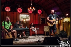 2018-08-17_walter_stehlings_liedermachershow-034