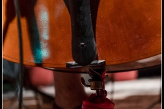 2018-08-17_walter_stehlings_liedermachershow-053