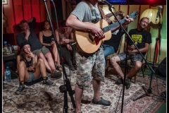 2018-08-17_Walter_Stehlings_Liedermachershow-087