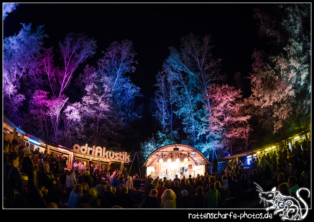 2018-08-18_walter_stehlings_liedermachershow-375