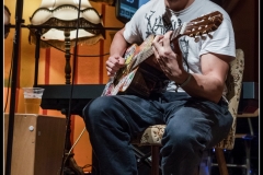 2018-08-18_walter_stehlings_liedermachershow-349