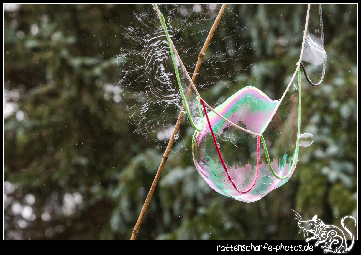 2018-09-01_folklorum-020