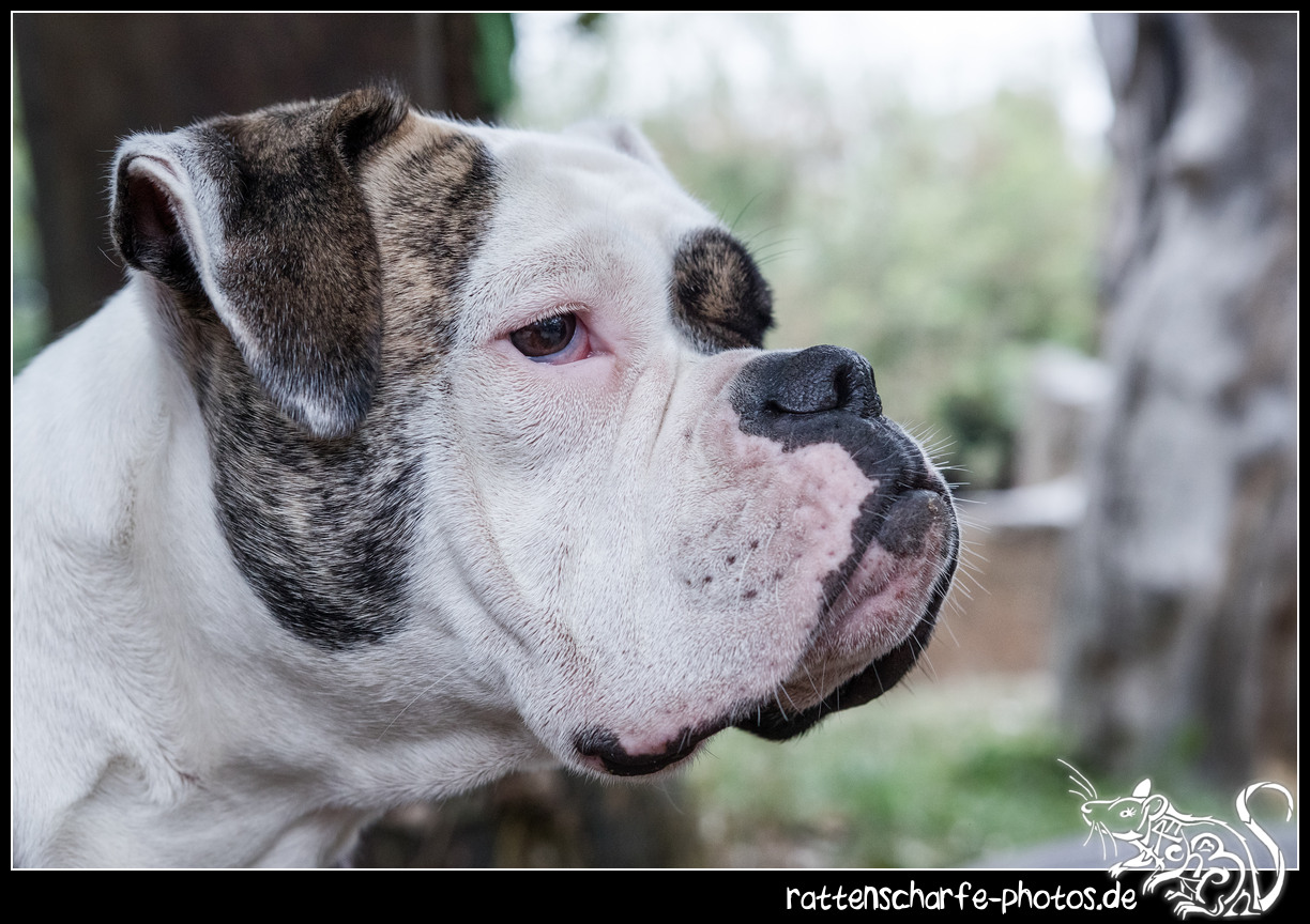 2018-09-01_folklorum-025