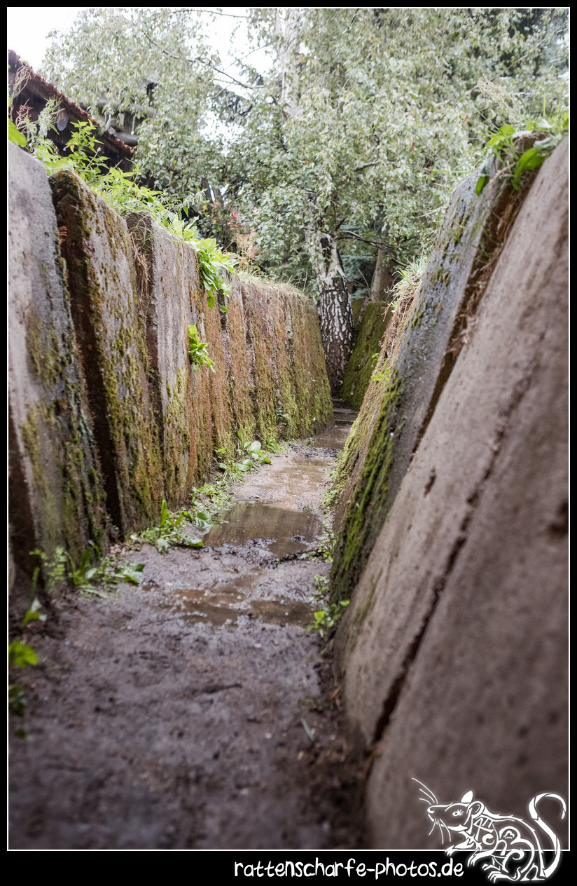 2018-09-01_folklorum-091