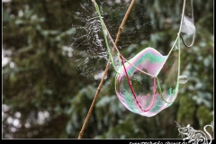 2018-09-01_folklorum-020