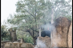 2018-09-01_folklorum-090