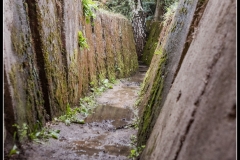 2018-09-01_folklorum-091