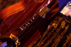 Fish&Friends_Aschaffenburg_Colos-Saal_DSC_2932