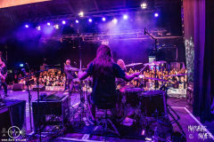 Precipitation-Posthalle-Wuerzburg-07-08-2025-MM-NO1_2976