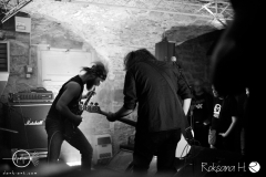 WZF_8217