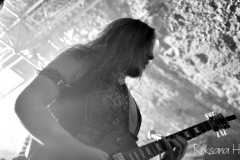 WZF_7991