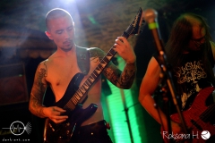 WZF_8031