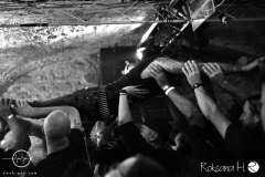 WZF_8090