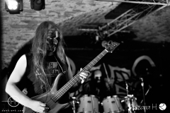 WZF_8252