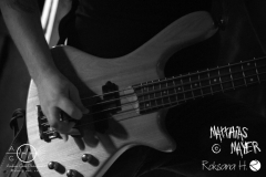 Netherfell_KrakowDSC_9950