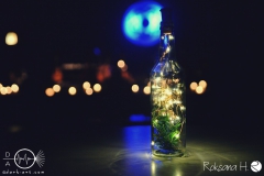 EFO_3437