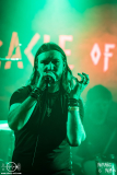 Miracle-of-Sound-Koeln-09-08-2026-MM-MOS_2774