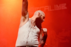 Mecalimb_006_SFU_7069