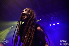 Psykotribe_016_SFU_6760
