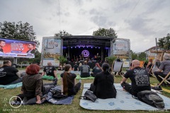 Der-Schulz-2.-Kulturpicknick-Magdeburg-23