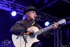 Eric-Fish-Friends-2.-Kulturpicknick-Magdeburg-15