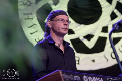 Eric-Fish-Friends-2.-Kulturpicknick-Magdeburg-3