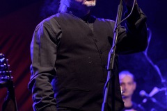 Eric-Fish-Friends-2.-Kulturpicknick-Magdeburg-34