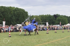 DSC08775