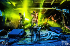 Drudensang-Dark-Troll-Festival-11-05-2024-MM-DT2_7036-done