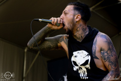 In-Dying-Lights-Metal-Kingdom-1106-2022-StS-01163